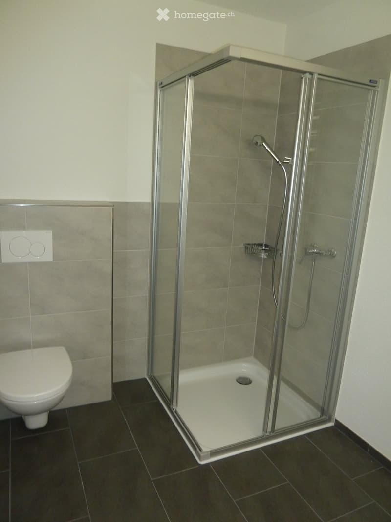 Modern bathroom with a white toilet, a glass-enclosed shower with a handheld showerhead, and a built-in shelf inside the shower. The walls are tiled in a light beige color, and the floor is dark tiled.
