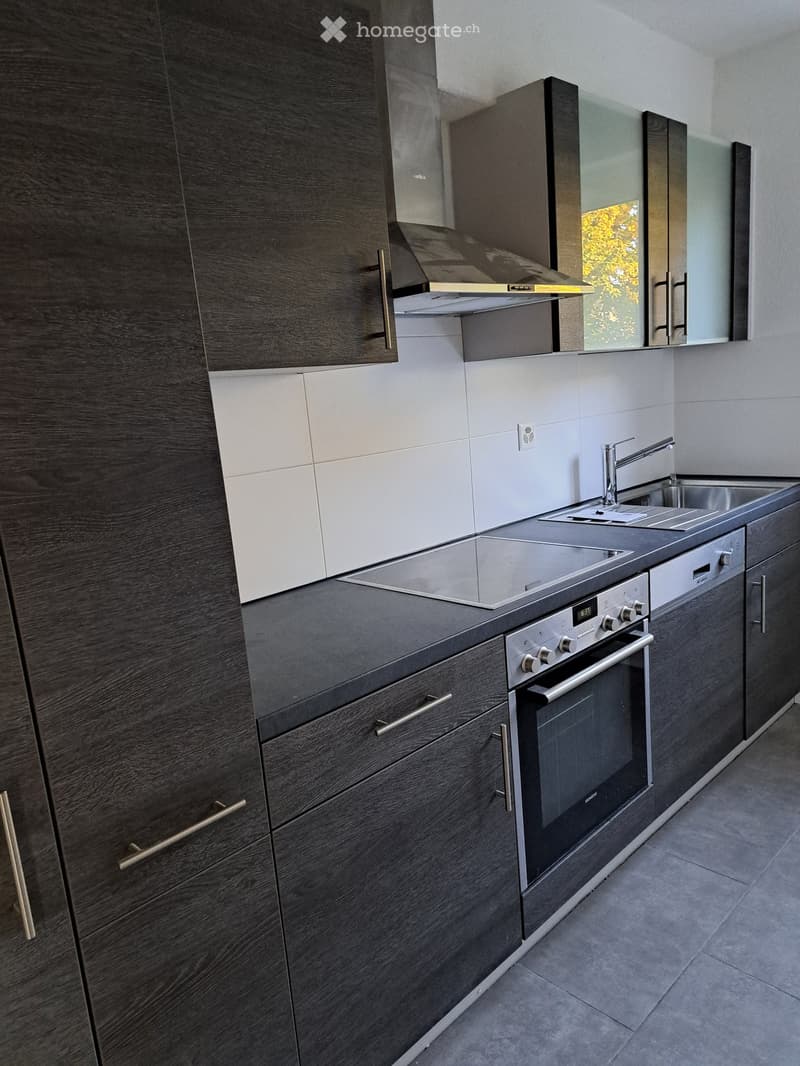Modern kitchen with dark wood cabinets, stainless steel appliances, and a sleek design.