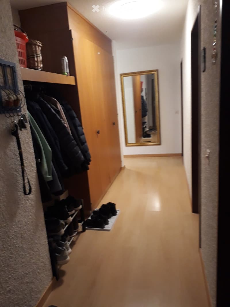 A narrow hallway with wooden flooring, a built-in shoe rack, and a coat closet with hanging clothes. A mirror is mounted on the wall at the end of the hallway.