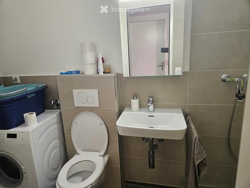 Modern bathroom with a toilet, sink, washing machine, and various toiletries neatly arranged on the counter.