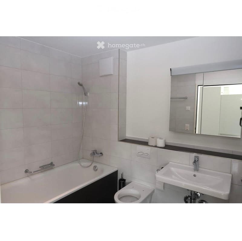 Modern bathroom with a bathtub, toilet, sink, mirror, and toilet paper on the counter.