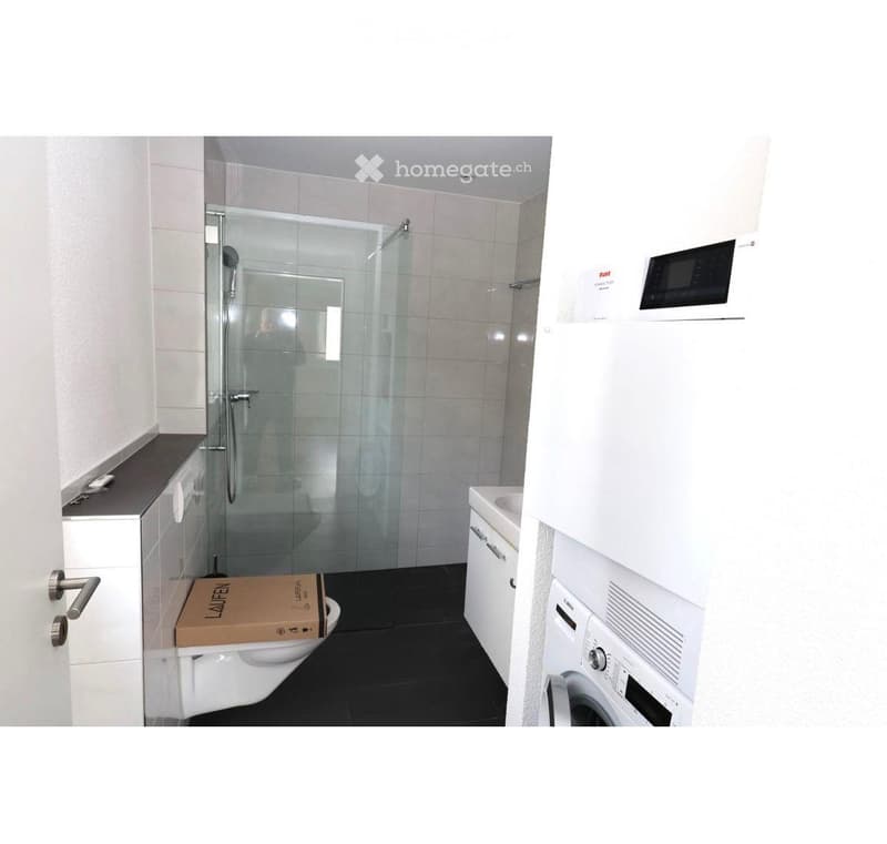 Modern bathroom with a glass-enclosed shower, toilet, sink, and a private washing machine. The space features white tiles, a dark floor, and built-in cabinets.