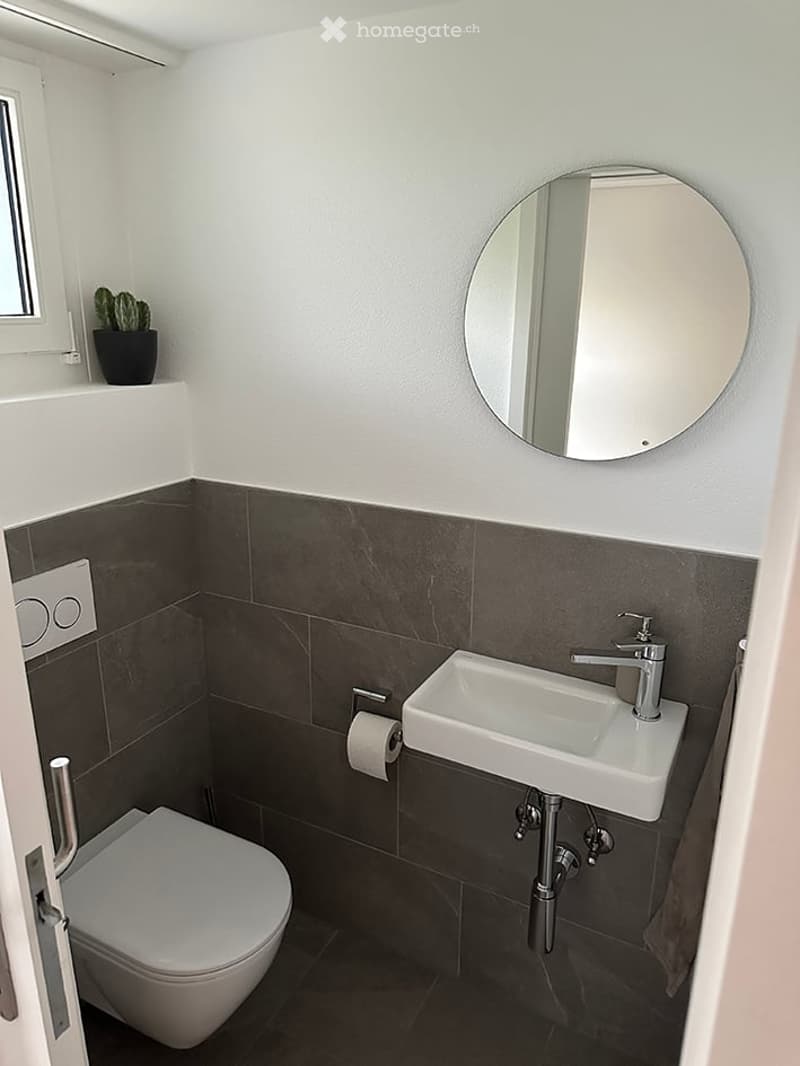 Modern bathroom with white walls, dark grey tiles, a toilet, a sink with a chrome faucet, a round mirror, and a small potted cactus on the windowsill.
