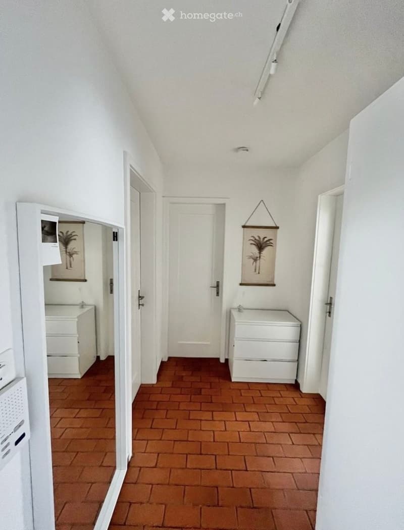 A narrow hallway with white walls, red brick floor, and several doors leading to different rooms. There are small cabinets on either side and a decorative wall hanging.