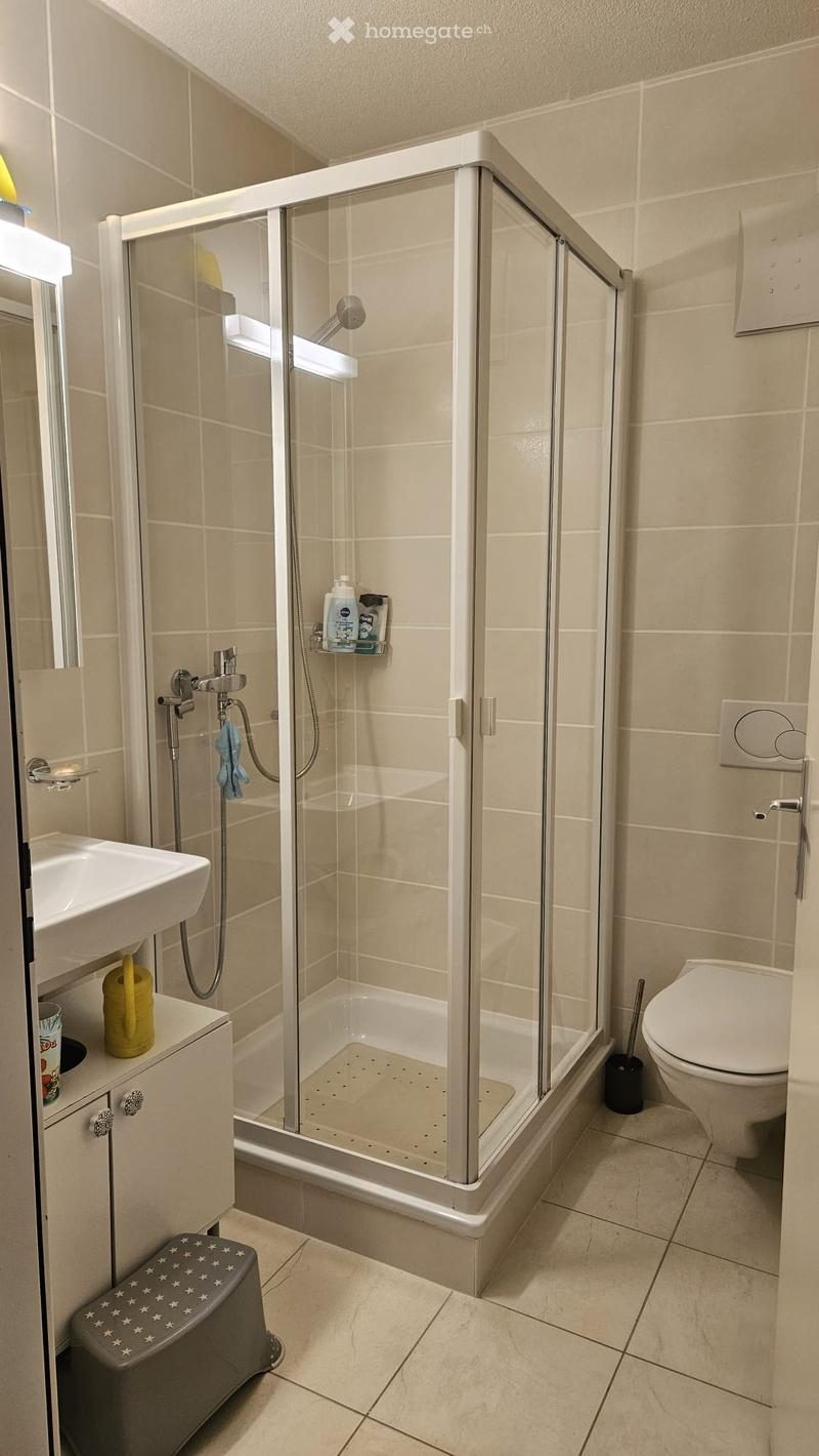 Modern bathroom with a glass-enclosed shower, a white sink, a toilet, and a small step stool near the sink.