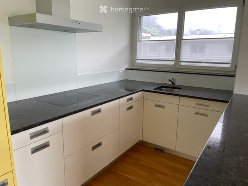 Modern kitchen with white cabinets, dark countertops, and a built-in induction cooktop. Features a stainless steel sink and faucet, with a range hood above.