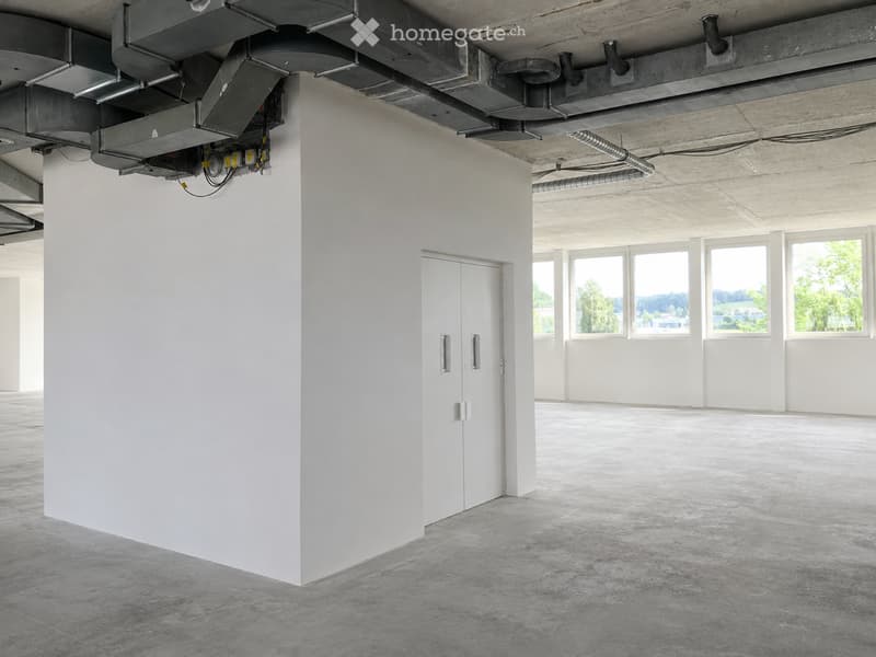 Empty room with white walls, concrete floor, large windows, and a white door.