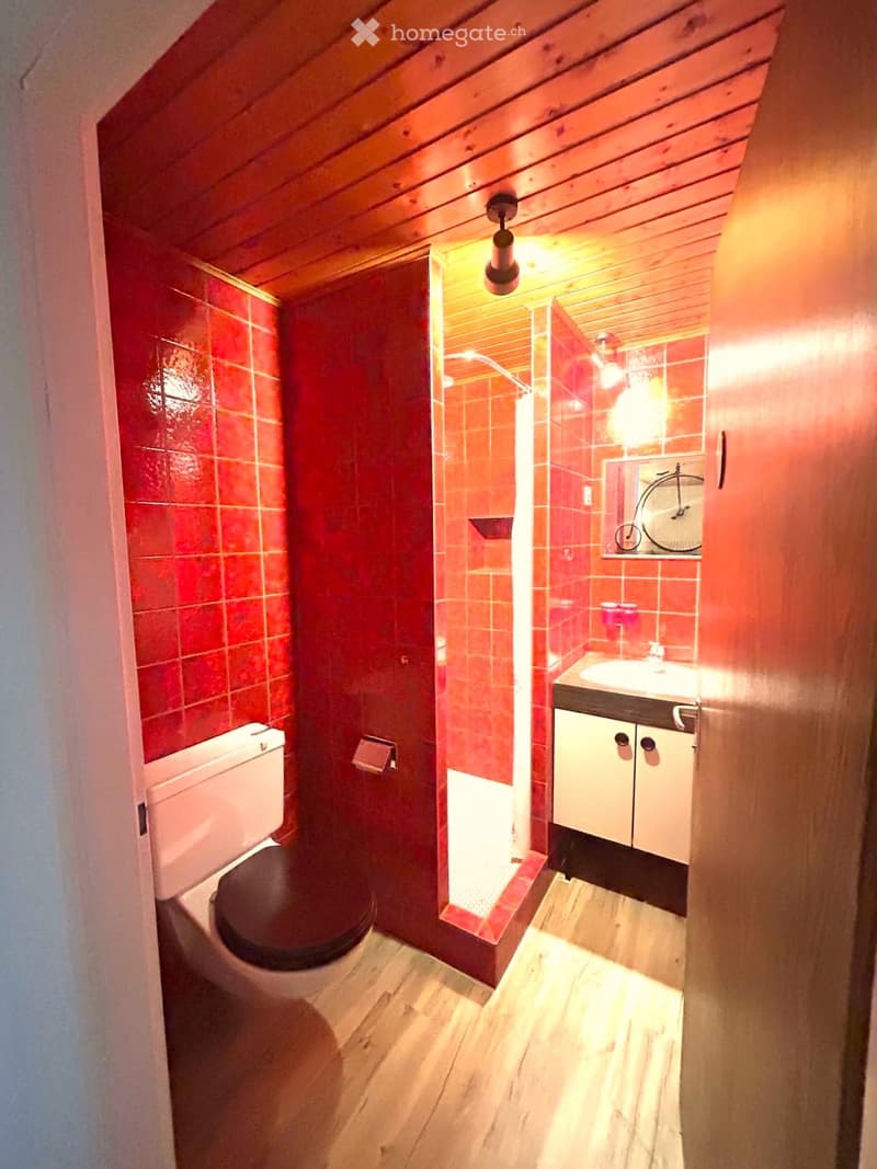 Cozy bathroom with red tiled walls, wooden ceiling, toilet, sink with cabinet, and a small shower area.
