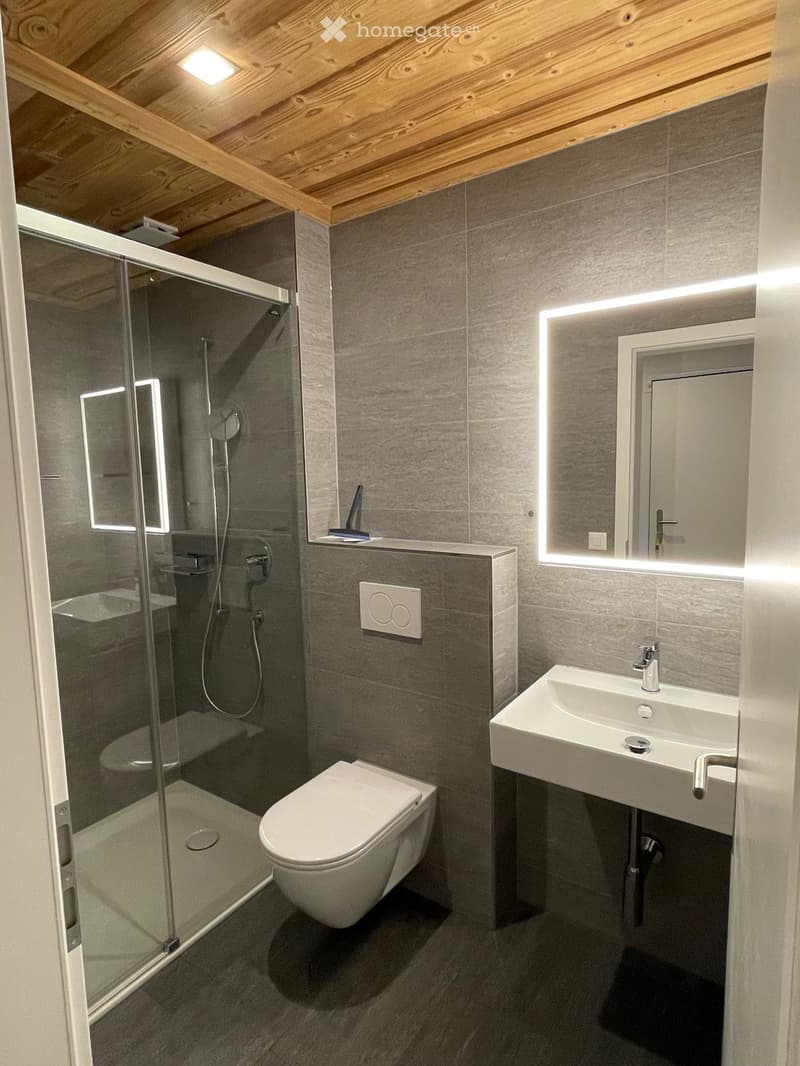 Modern bathroom with grey tiles, a glass-enclosed shower, a toilet, a sink with a mirror, and built-in lighting around the mirror.