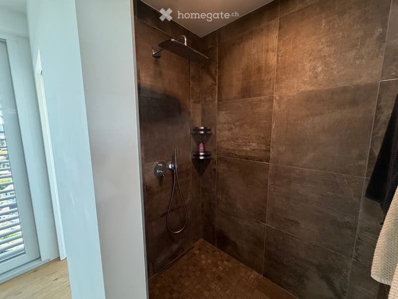 Modern shower area with dark brown tiles, a handheld showerhead, a fixed showerhead, and a small shelf for toiletries.