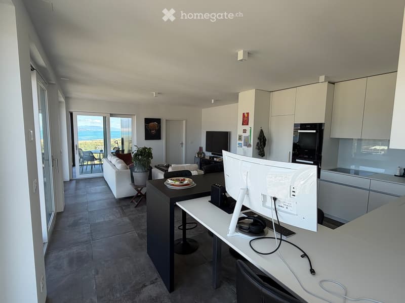 Open-plan living and dining area with a view, featuring a sofa, dining table, chairs, a screen, kitchen cabinets, and a plant.