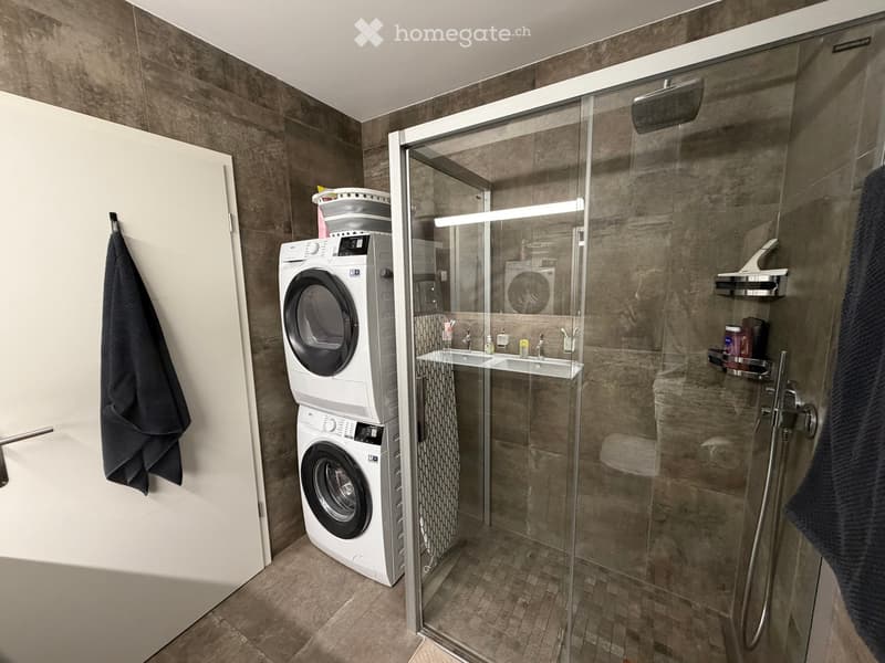 Modern bathroom with a glass-enclosed shower, a washing machine, a sink, and a towel hanging on the wall.