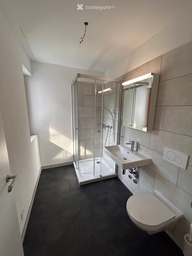 Bathroom with a shower, a sink, a toilet, and a mirror.