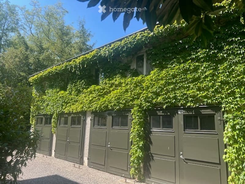 A row of green garage doors covered in climbing ivy, with a clear blue sky and surrounding trees visible.