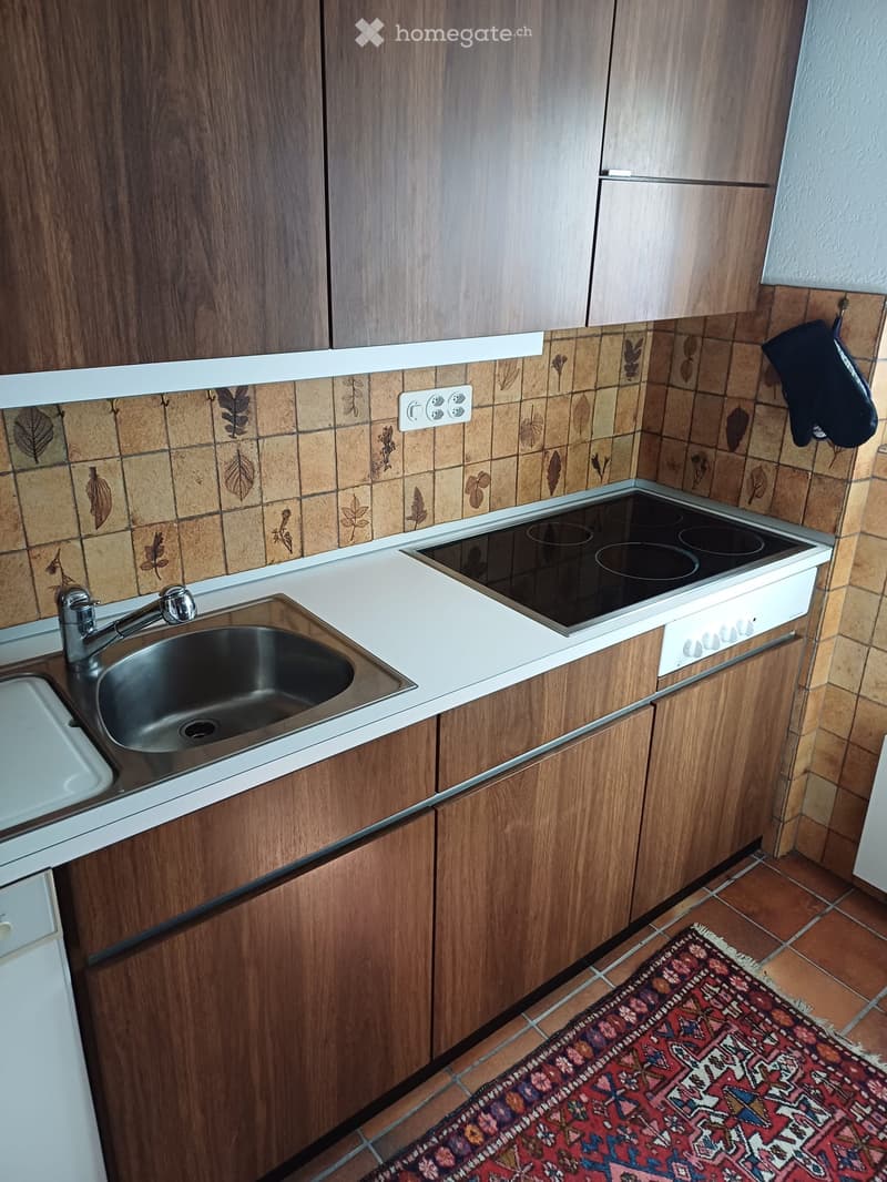 Kitchen with wooden cabinets, a stainless steel sink, electric stove, and a decorative rug on the floor.