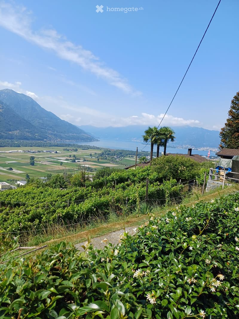 A scenic outdoor view with lush greenery, a stone pathway, and a distant lake and mountains in the background.