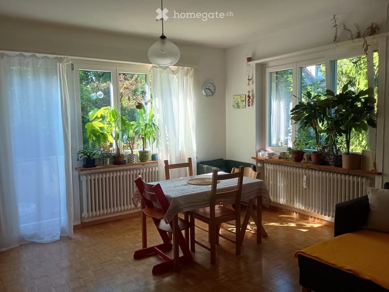 Bright living room with wooden flooring, large windows, potted plants, a dining table with chairs, and a sofa.