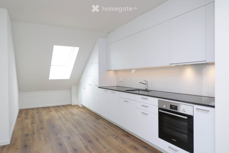 Modern kitchen with white cabinets, wooden flooring, and a skylight window above the sink.