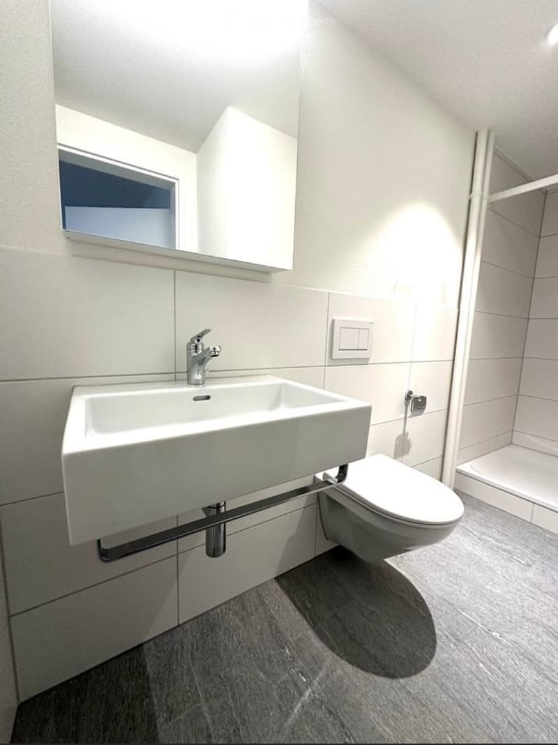 Modern bathroom with a white sink, chrome faucet, toilet, and a large mirror above the sink. The walls are tiled in light grey, and the floor is covered with dark grey tiles.