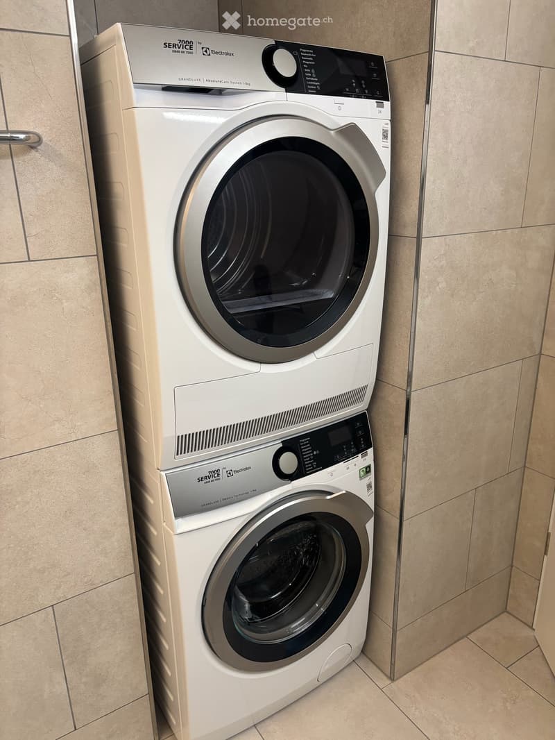 4.5 Zi- Wohnung in Siebnen (5)