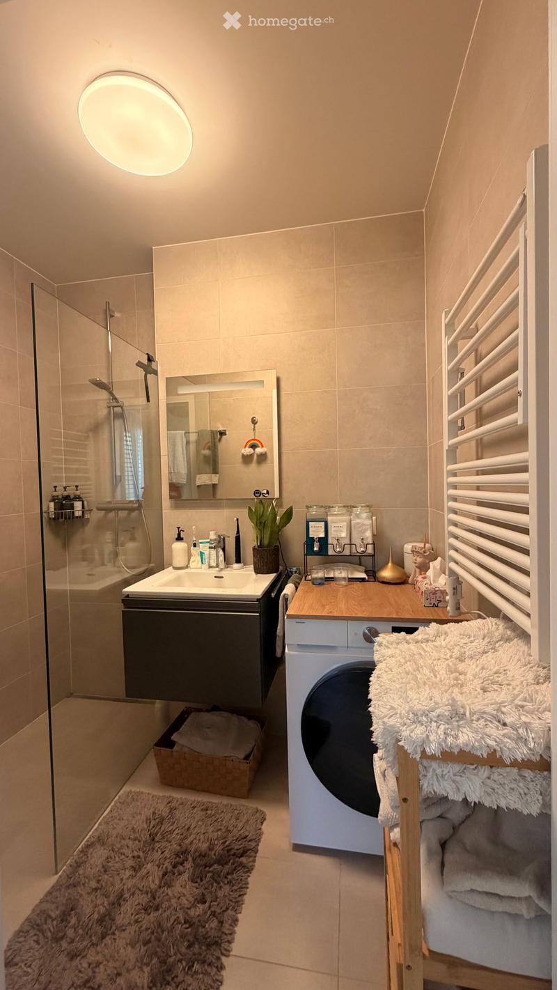 Modern bathroom with a sink, mirror, shower, towel rack, radiator, washing machine, and decorative items including a furry rug and plant.