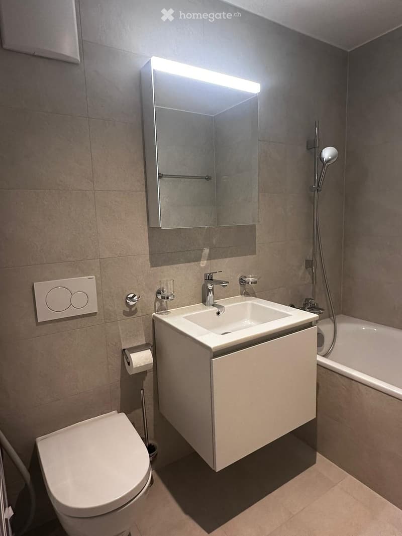 Modern bathroom with a white sink, mirror, toilet, bathtub, and showerhead. Features include a built-in sink cabinet, a towel rack, and a light switch.