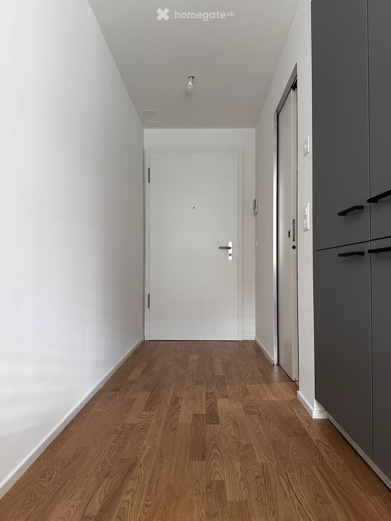 A narrow hallway with light wooden flooring, white walls, and a closed white door at the end. A grey cabinet is visible on the right side.