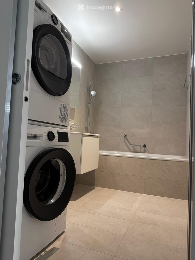 Modern bathroom with a washing machine, bathtub, shower, and a small cabinet.