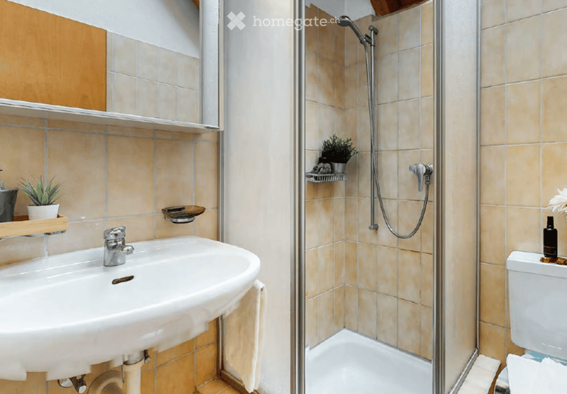 Bathroom with a sink, shower, and toilet. The sink has a modern faucet and a towel hanging on the side. The shower area has a glass enclosure and a handheld showerhead. A small plant is placed on a shelf inside the shower, and a bottle is on the toilet se
