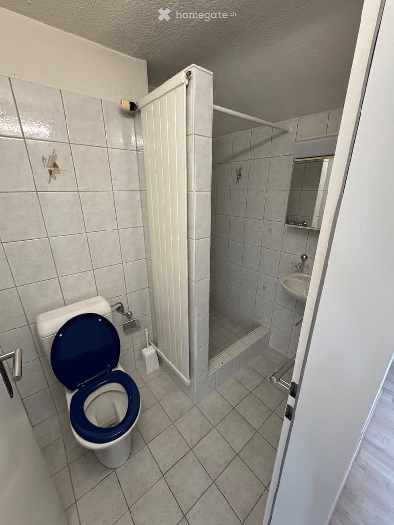 Clean bathroom with tiled walls and floor, featuring a toilet with a blue seat cover, a sink, and a shower area with a glass door.