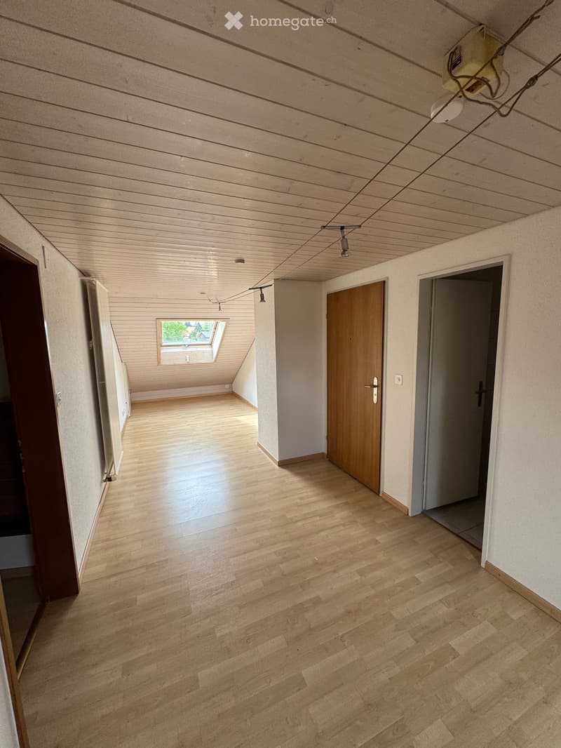 Empty room with wooden flooring, white walls, and a slanted wooden ceiling. Features include a skylight window, a closed wooden door, and a radiator on the left side.