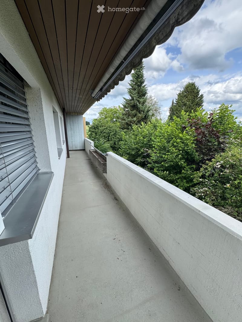 Modern concrete balcony with a low wall, lush greenery, and a wooden ceiling.
