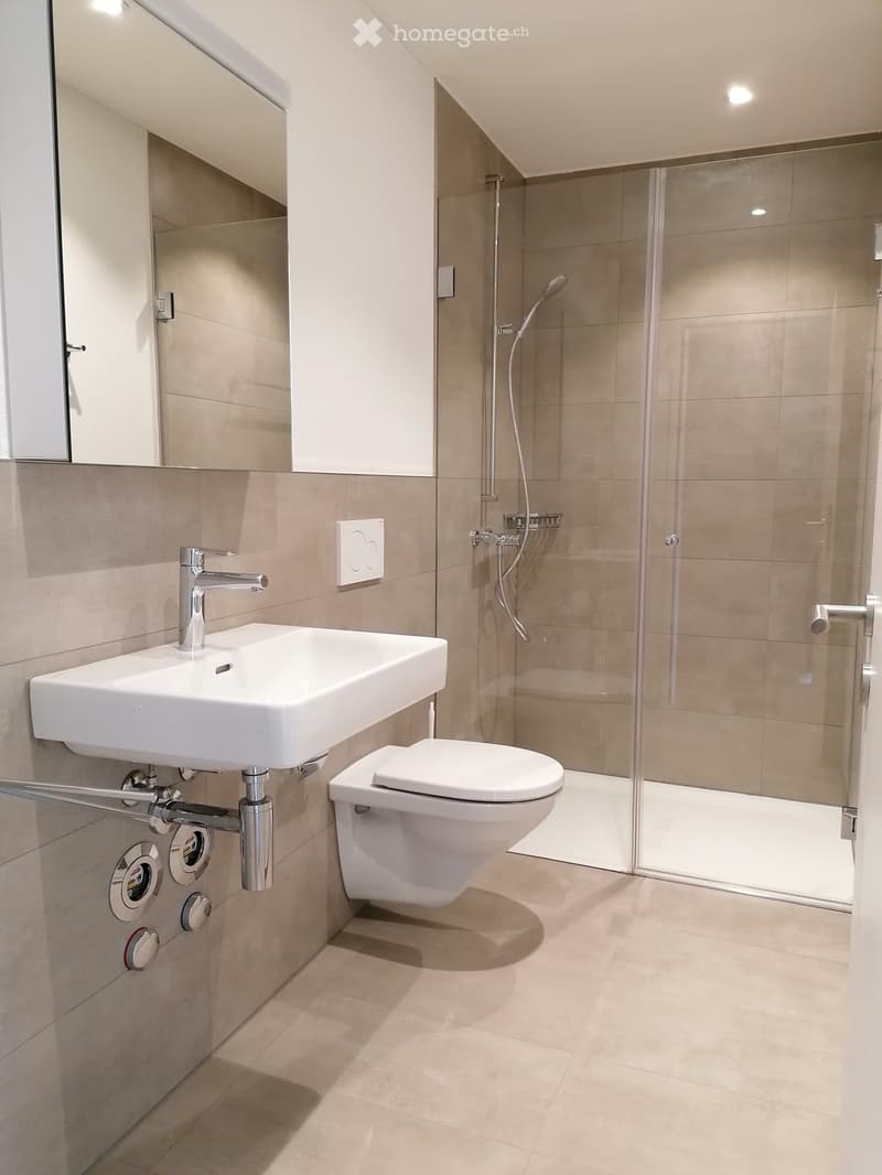 Modern bathroom with a white sink, chrome faucet, toilet, glass-enclosed shower, and a mirrored cabinet above the sink.
