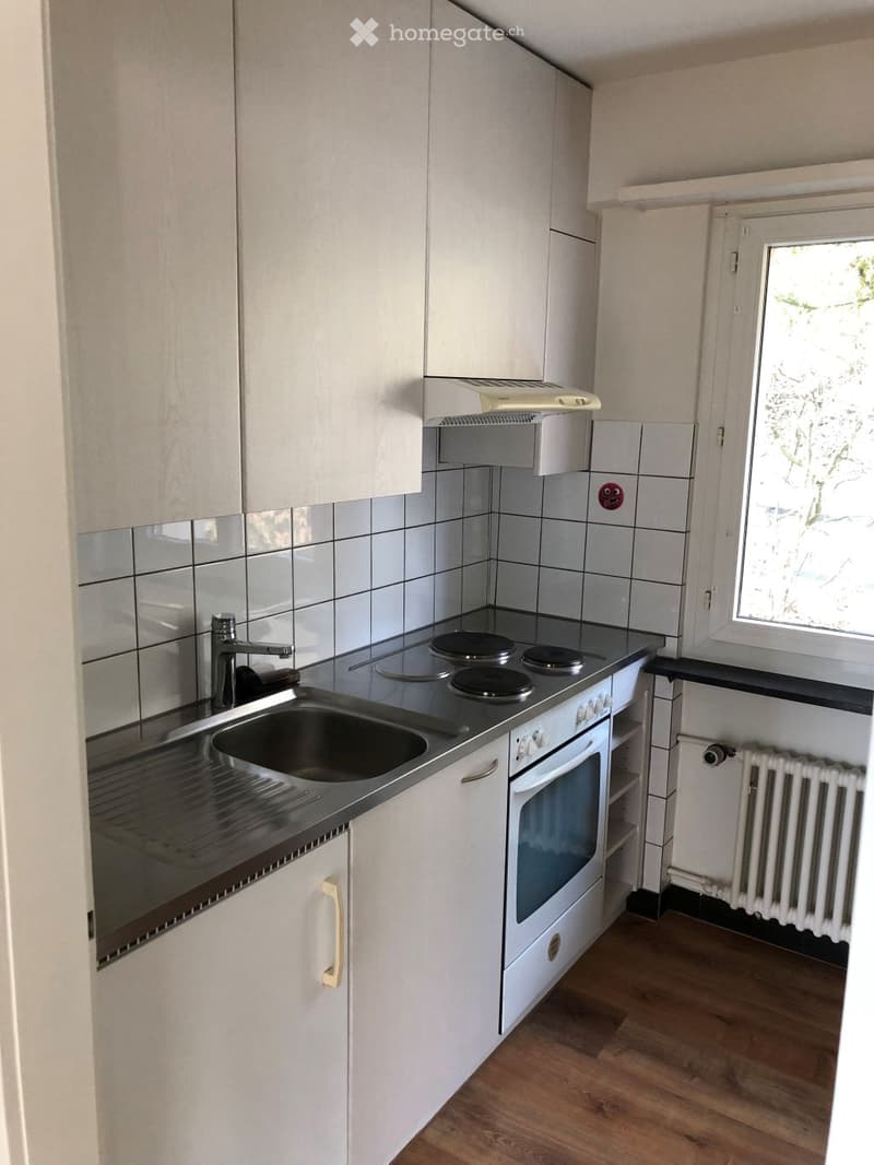 Modern kitchen with white cabinets, stainless steel sink, electric stove, and built-in oven. Features wooden flooring and a window providing natural light.