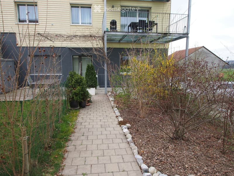 Garden area with a paved pathway leading to a modern house, featuring potted plants, shrubs, and a small grassy area.
