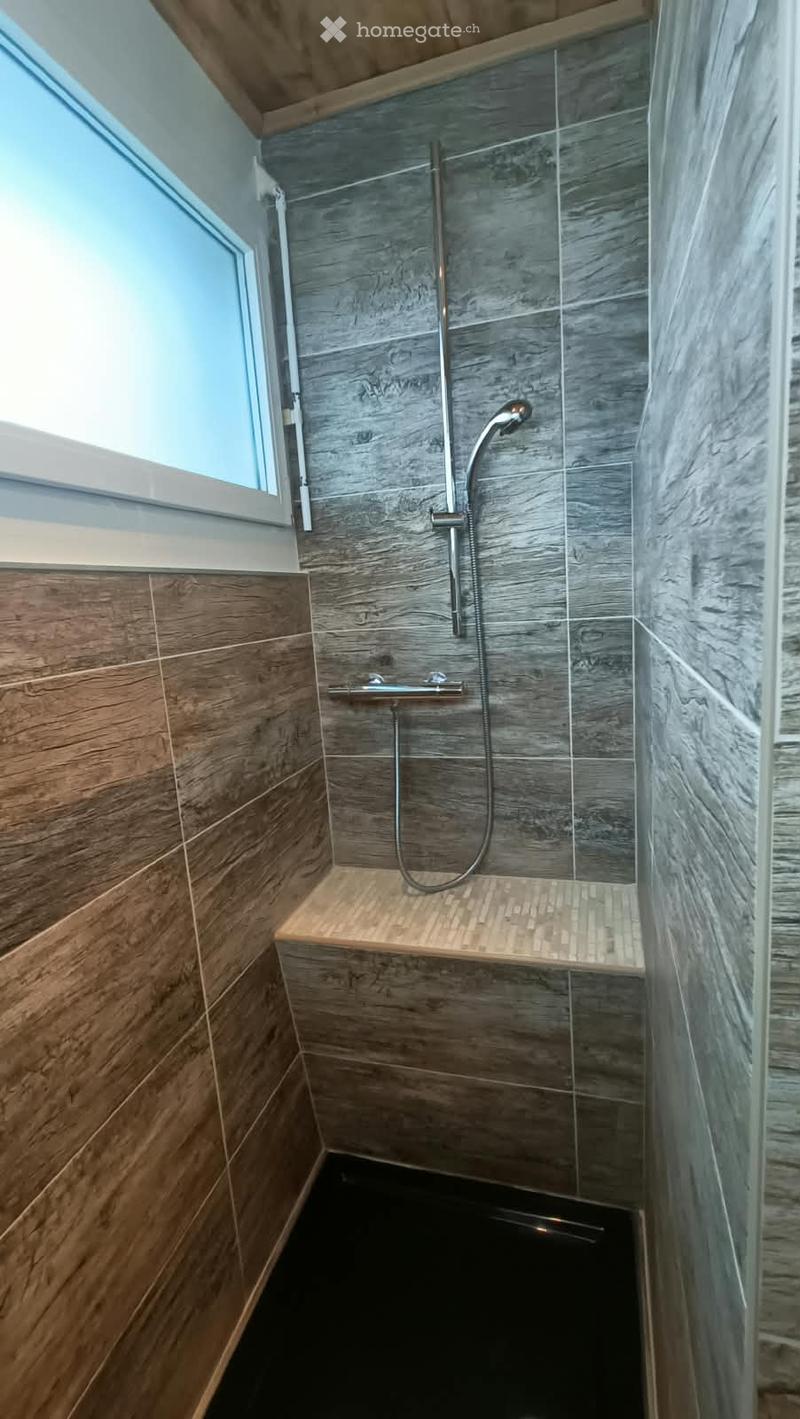 Modern shower area with dark grey wood-like tiles, glass enclosure, and a sleek showerhead mounted on a rail.