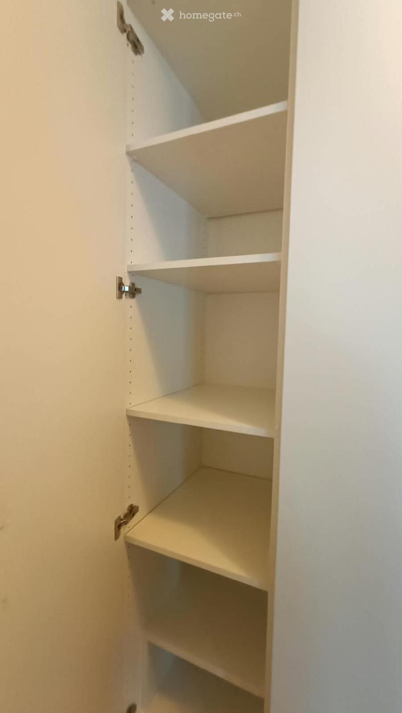 Empty white built-in closet with multiple shelves and silver hinges.