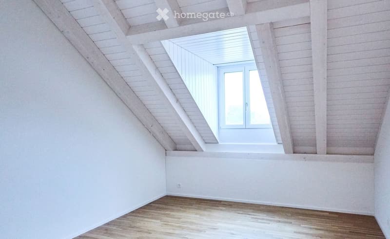 Empty attic space with wooden floors, white walls, and a skylight window allowing natural light to enter.