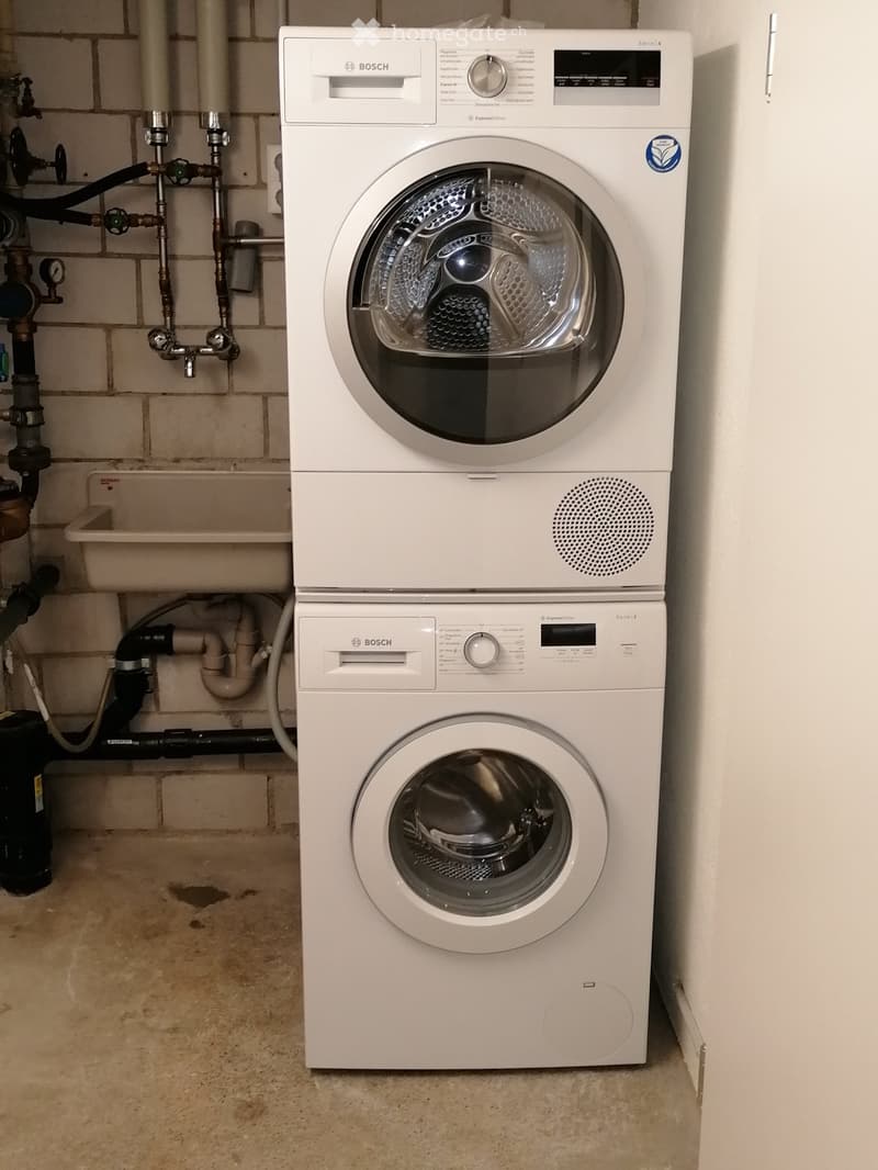 A utility area with a Bosch washing machine and a Bosch dishwasher, both white, placed side by side against a brick wall with visible plumbing.