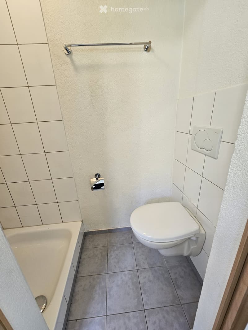Modern bathroom with a toilet, bathtub, towel, toilet paper holder, and a handrail on the wall.