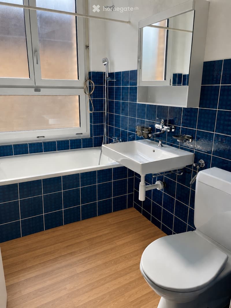 Modern bathroom with blue tiled walls, white fixtures, and wooden flooring. Features a bathtub, sink, toilet, and mirror.