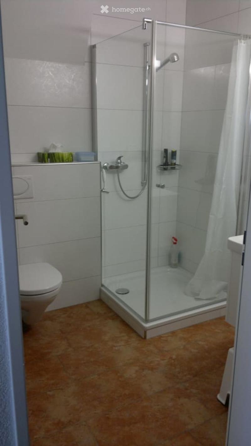 Bathroom. Modern bathroom with a glass-enclosed shower, toilet, and tiled floor. Shower includes a handheld sprayer and a built-in shelf for toiletries.