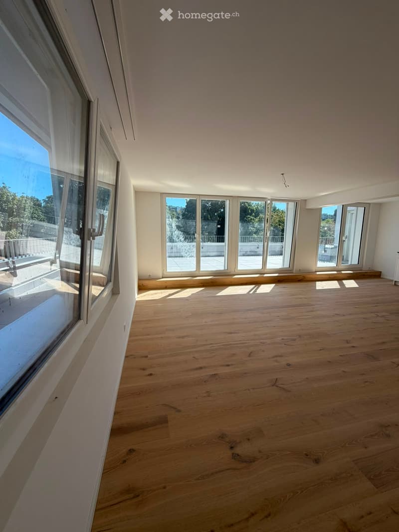 Grosszügige 5.5-Zimmer-Dachwohnung mit Terrasse und Weitsicht in Schaffhausen (4)