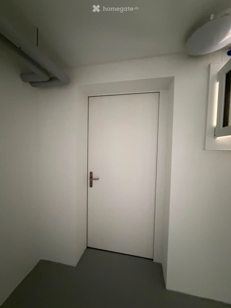 Grosszügige 5.5-Zimmer-Dachwohnung mit Terrasse und Weitsicht in Schaffhausen (33)