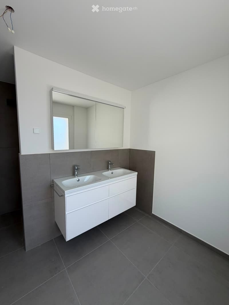 Grosszügige 5.5-Zimmer-Dachwohnung mit Terrasse und Weitsicht in Schaffhausen (10)