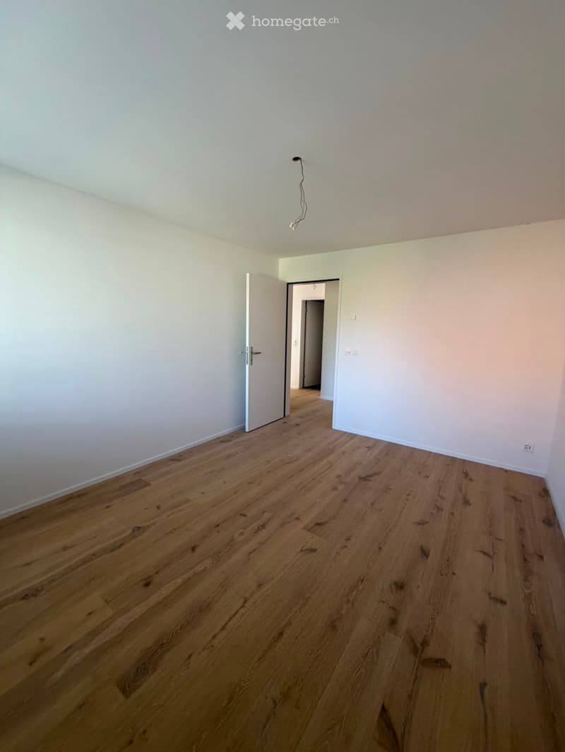 Grosszügige 5.5-Zimmer-Dachwohnung mit Terrasse und Weitsicht in Schaffhausen (19)