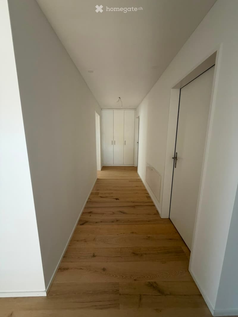 Grosszügige 5.5-Zimmer-Dachwohnung mit Terrasse und Weitsicht in Schaffhausen (6)