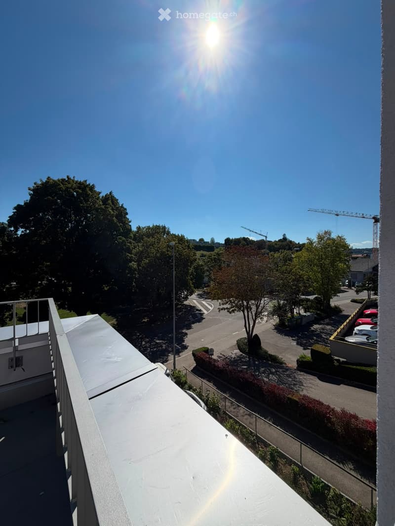 Grosszügige 5.5-Zimmer-Dachwohnung mit Terrasse und Weitsicht in Schaffhausen (30)