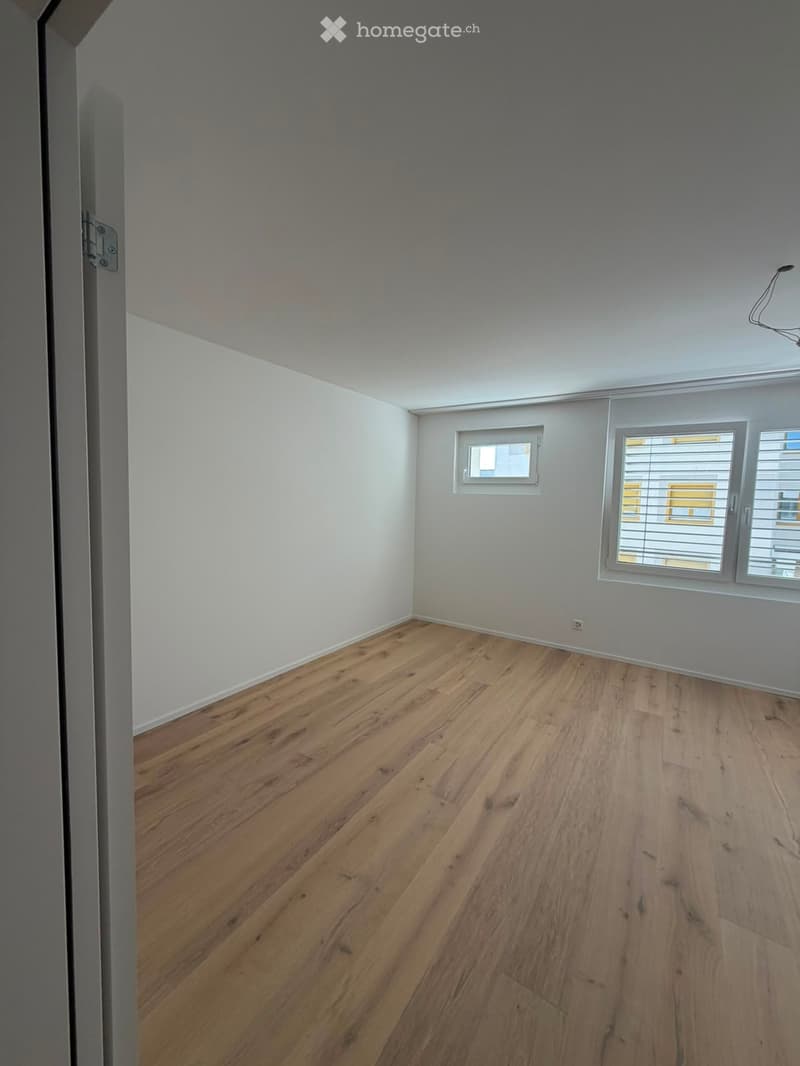 Grosszügige 5.5-Zimmer-Dachwohnung mit Terrasse und Weitsicht in Schaffhausen (16)