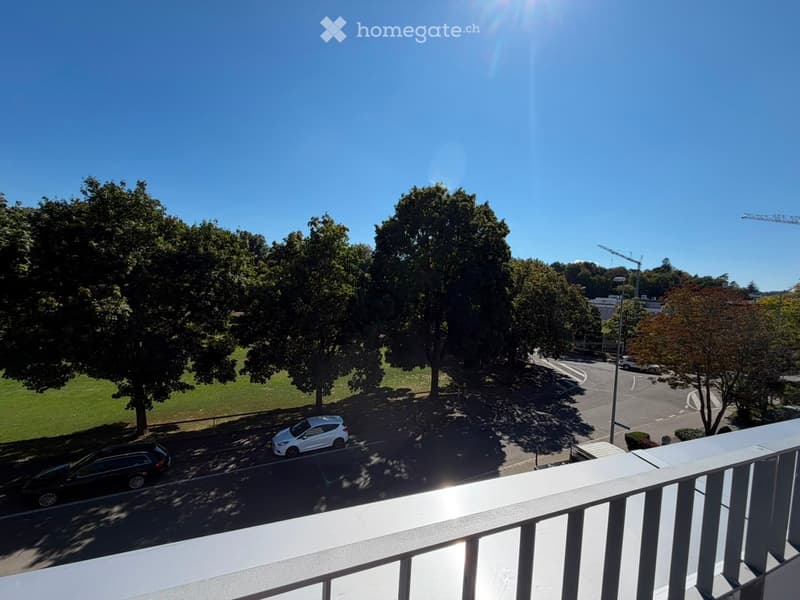 Grosszügige 5.5-Zimmer-Dachwohnung mit Terrasse und Weitsicht in Schaffhausen (32)